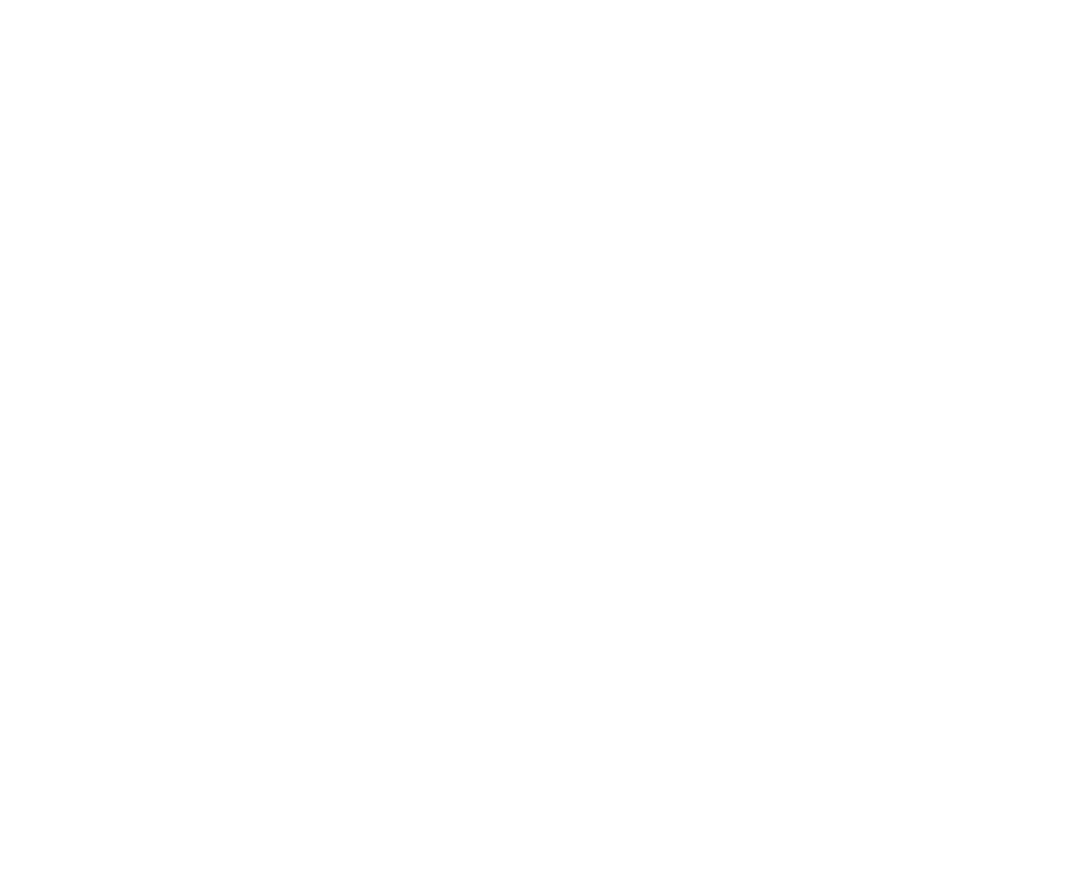 logo1.png
